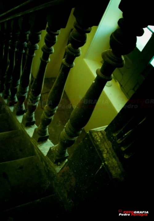 Fotografia de Fotografia Ferreyra - Galeria Fotografica: Tren - Foto: 