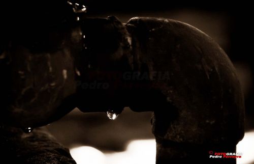 Fotografia de Fotografia Ferreyra - Galeria Fotografica: Tren - Foto: 