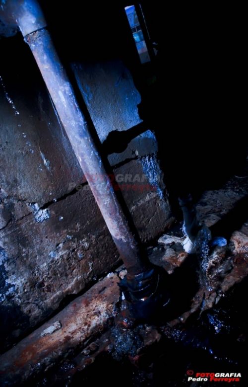 Fotografia de Fotografia Ferreyra - Galeria Fotografica: Tren - Foto: 