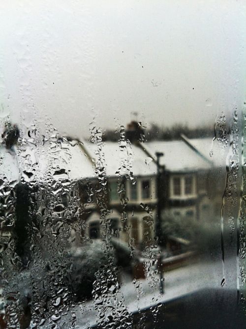 Fotografia de Ismael Alabado - Galeria Fotografica: ingrid - Foto: London