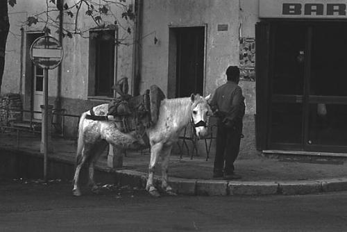 Fotografia de Persia - Galeria Fotografica: Frammenti di vita. - Foto: 