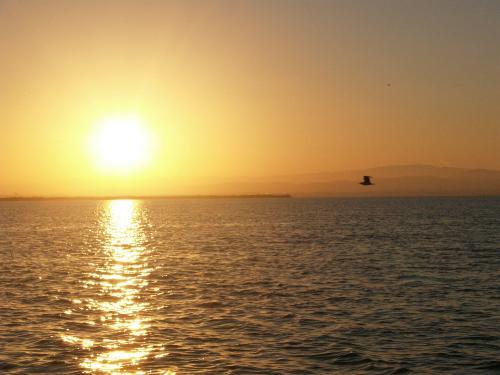 Fotografia de Jos� M� - Galeria Fotografica: naturaleza - Foto: El sol se retira								