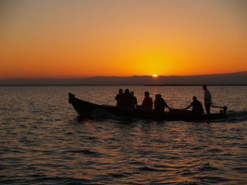 Fotografia de Jos� M� - Galeria Fotografica: naturaleza - Foto: Paseo por L�Albufera								