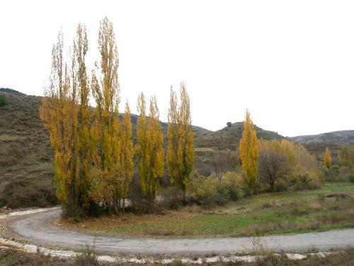 Fotografia de Jos� M� - Galeria Fotografica: naturaleza - Foto: Oto�o nublado								