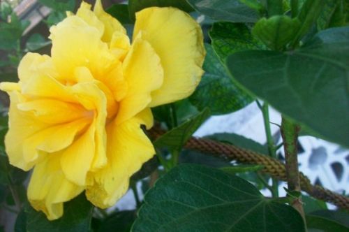 Fotografia de lihu - Galeria Fotografica: Millones de colores! - Foto: 