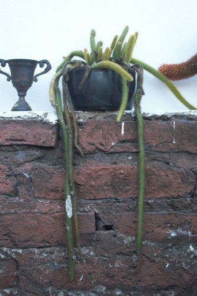 Fotografia de lihu - Galeria Fotografica: Millones de colores! - Foto: 