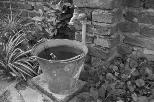 Fotografia de lihu - Galeria Fotografica: variete - Foto: 