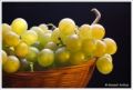 Fotos de Manuel Arribas -fotografa- -  Foto: Naturaleza muerta - Uvas
