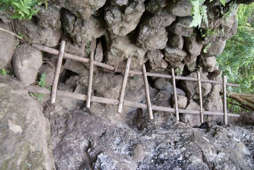 Fotografia de Celsius232 - Galeria Fotografica: Algunas - Foto: 