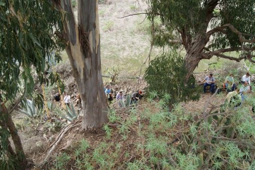 Fotografia de Celsius232 - Galeria Fotografica: Algunas - Foto: 