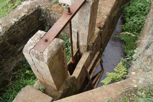 Fotografia de Celsius232 - Galeria Fotografica: Algunas - Foto: 