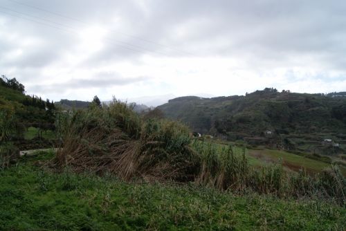 Fotografia de Celsius232 - Galeria Fotografica: Algunas - Foto: 