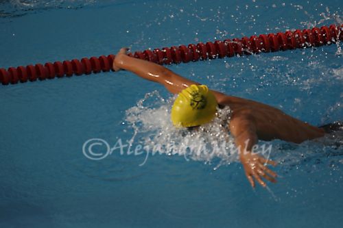 Fotografia de ALEJANDRA Fot�grafa - Galeria Fotografica: MI PORTFOLIO - Foto: 