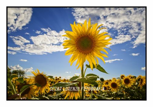 Fotografia de Csar Lorenzo - Galeria Fotografica: varias - Foto: 