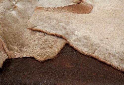 Fotografia de Gilbert - Galeria Fotografica: Alimentacin - Foto: 