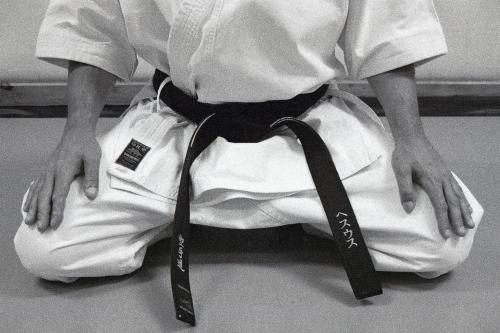 Fotografia de mavi - Galeria Fotografica: karate - Foto: Saludo
