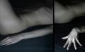 Foto de  Daniel Prez - Galería: Desnudos - Fotografía: 