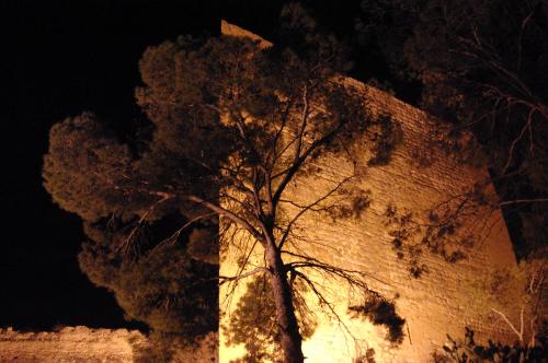 Fotografia de RAFA - Galeria Fotografica: Castillo de noche. - Foto: cuartel								