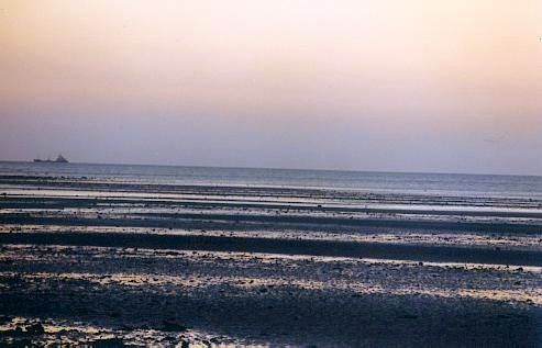 Fotografia de Fotokinki - Galeria Fotografica: A la caida del sol - Foto: 