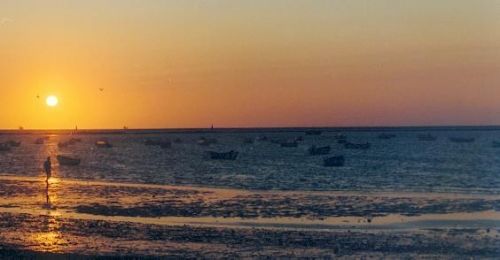 Fotografia de Fotokinki - Galeria Fotografica: A la caida del sol - Foto: 