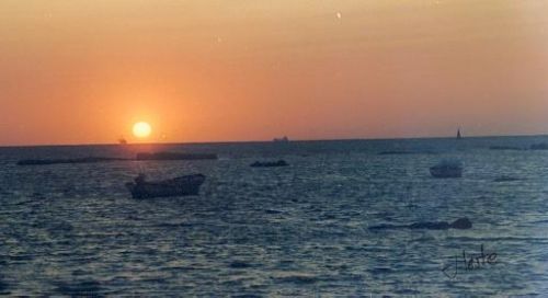 Fotografia de Fotokinki - Galeria Fotografica: A la caida del sol - Foto: 