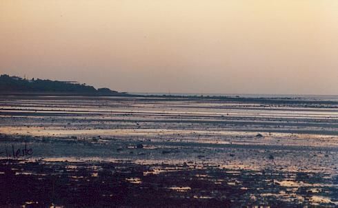 Fotografia de Fotokinki - Galeria Fotografica: A la caida del sol - Foto: 