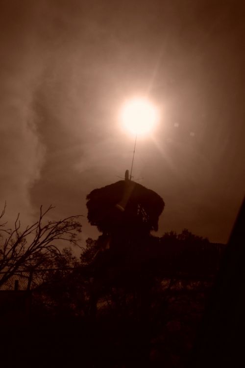 Fotografia de Diana Ruiz - Galeria Fotografica: First Album - Foto: 