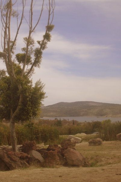 Fotografia de Diana Ruiz - Galeria Fotografica: First Album - Foto: 