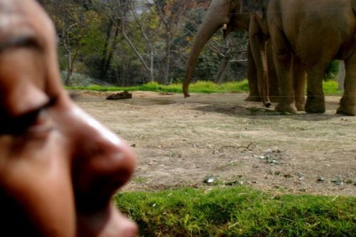 Fotografia de Diana Ruiz - Galeria Fotografica: First Album - Foto: 