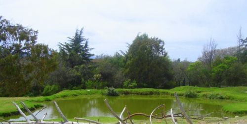 Fotografia de Diana Ruiz - Galeria Fotografica: First Album - Foto: 