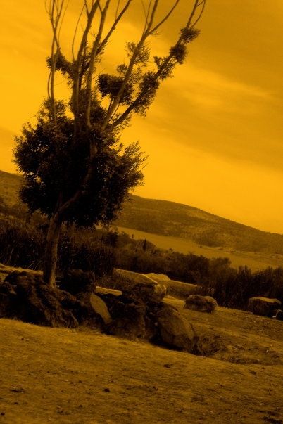 Fotografia de Diana Ruiz - Galeria Fotografica: First Album - Foto: 