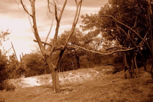 Fotografia de Diana Ruiz - Galeria Fotografica: First Album - Foto: 