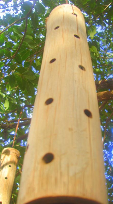 Fotografia de Diana Ruiz - Galeria Fotografica: First Album - Foto: 