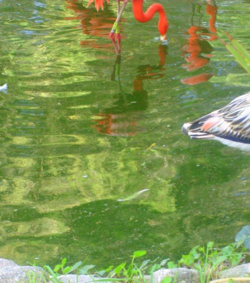 Fotografia de Diana Ruiz - Galeria Fotografica: First Album - Foto: 