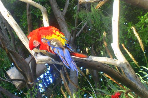 Fotografia de Diana Ruiz - Galeria Fotografica: First Album - Foto: 