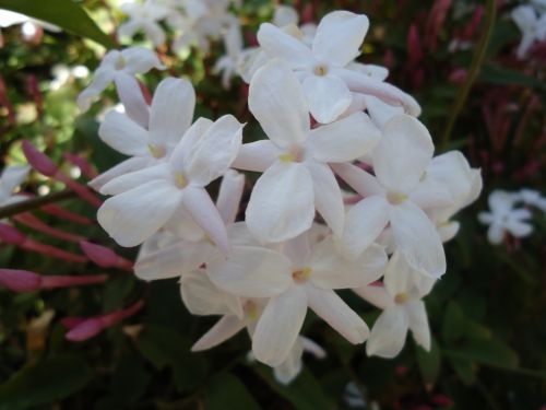 Fotografia de lloyber - Galeria Fotografica: Naturaleza - Foto: 