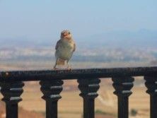 Fotografia de lloyber - Galeria Fotografica: Naturaleza - Foto: 