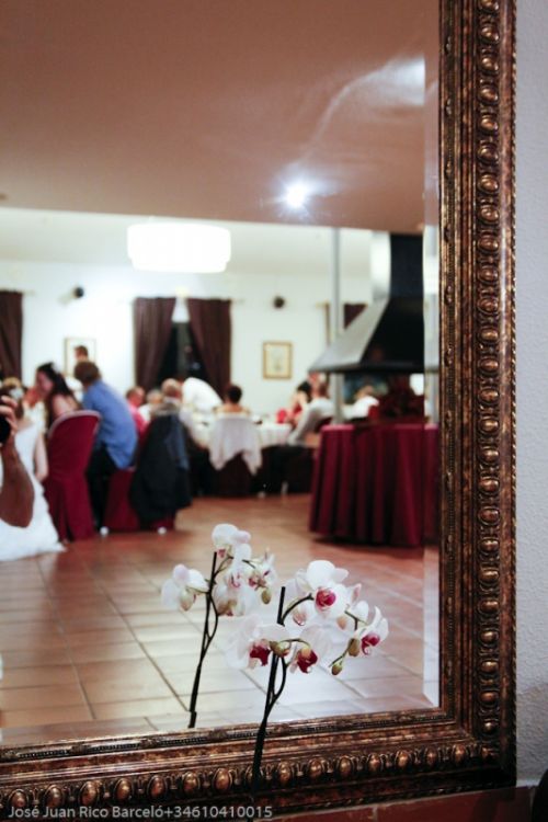 Fotografia de lter-ego visual - Galeria Fotografica: Ana y Simon - Foto: 