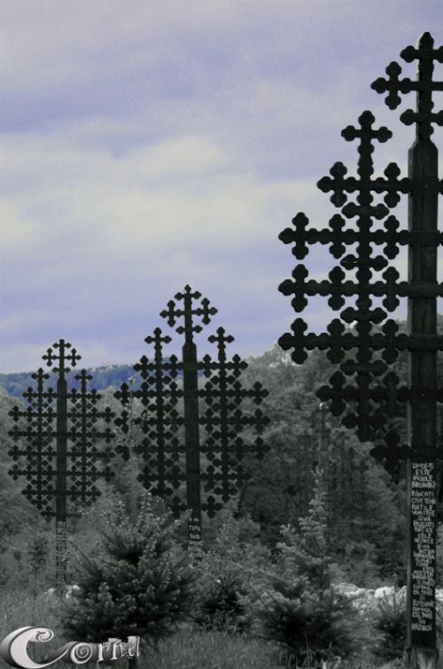 Fotografia de Mc - Galeria Fotografica: Art - Foto: 