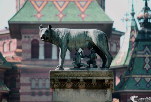 Fotografia de Mc - Galeria Fotografica: Art - Foto: Wolfmum