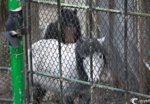 Fotografia de Mc - Galeria Fotografica: Art - Foto: 