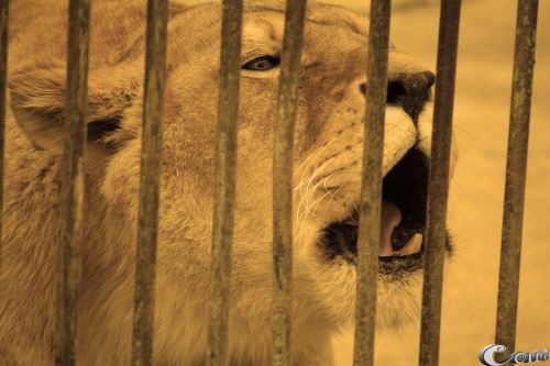 Fotografia de Mc - Galeria Fotografica: Art - Foto: Sad