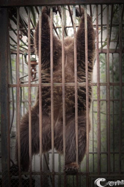 Fotografia de Mc - Galeria Fotografica: Art - Foto: 