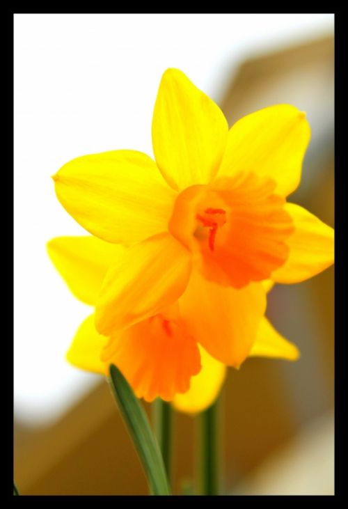 Fotografia de cr.none - Galeria Fotografica: momentos - Foto: 