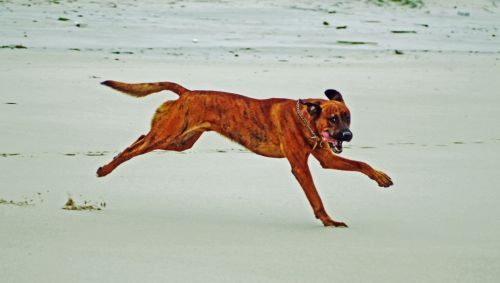 Fotografia de cr.none - Galeria Fotografica: momentos - Foto: 