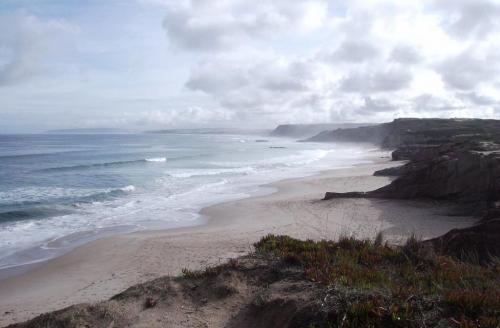 Fotografia de Mikale - Galeria Fotografica: surfaris - Foto: 