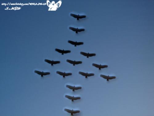 Fotografia de Wera_dulce_y_acida - Galeria Fotografica: Diana - Foto: arriba