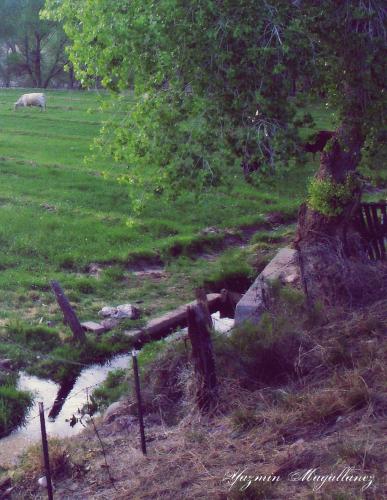 Fotografia de Yazmin Magallanez - Galeria Fotografica: Paisajes - Foto: 	8							