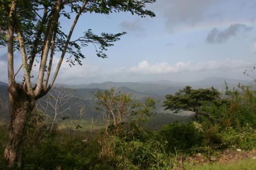 Fotografia de Master Blaster - Galeria Fotografica: Pureza - Foto: Serrania