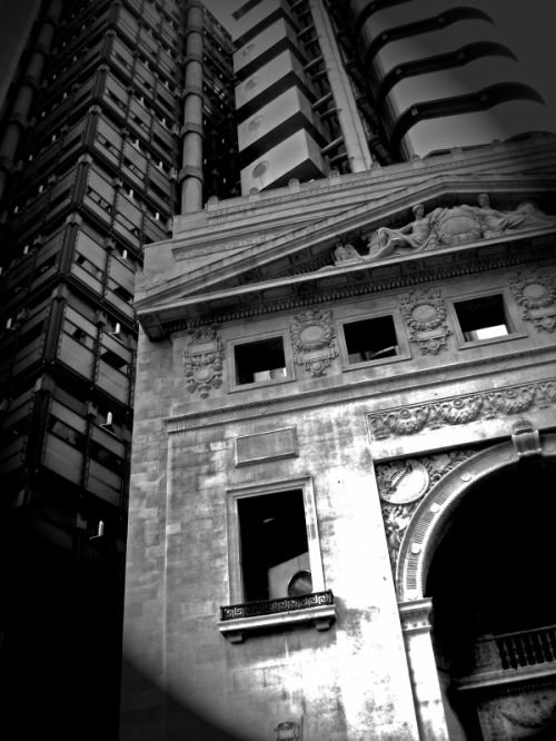 Fotografia de Eric - Galeria Fotografica: Miscel�Lanius - Foto: 